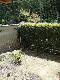 20120510-DSC00998.jpg