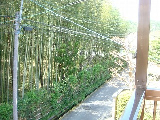 20120510-DSC01033.jpg