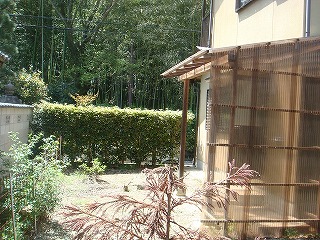 20120510-DSC01038.jpg