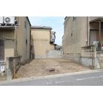 �����躷��������Į